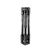 Аренда штатива и шаровой головки для фотокамеры Manfrotto MKBFRLA4BK-BH Befree Advanced Travel Lever