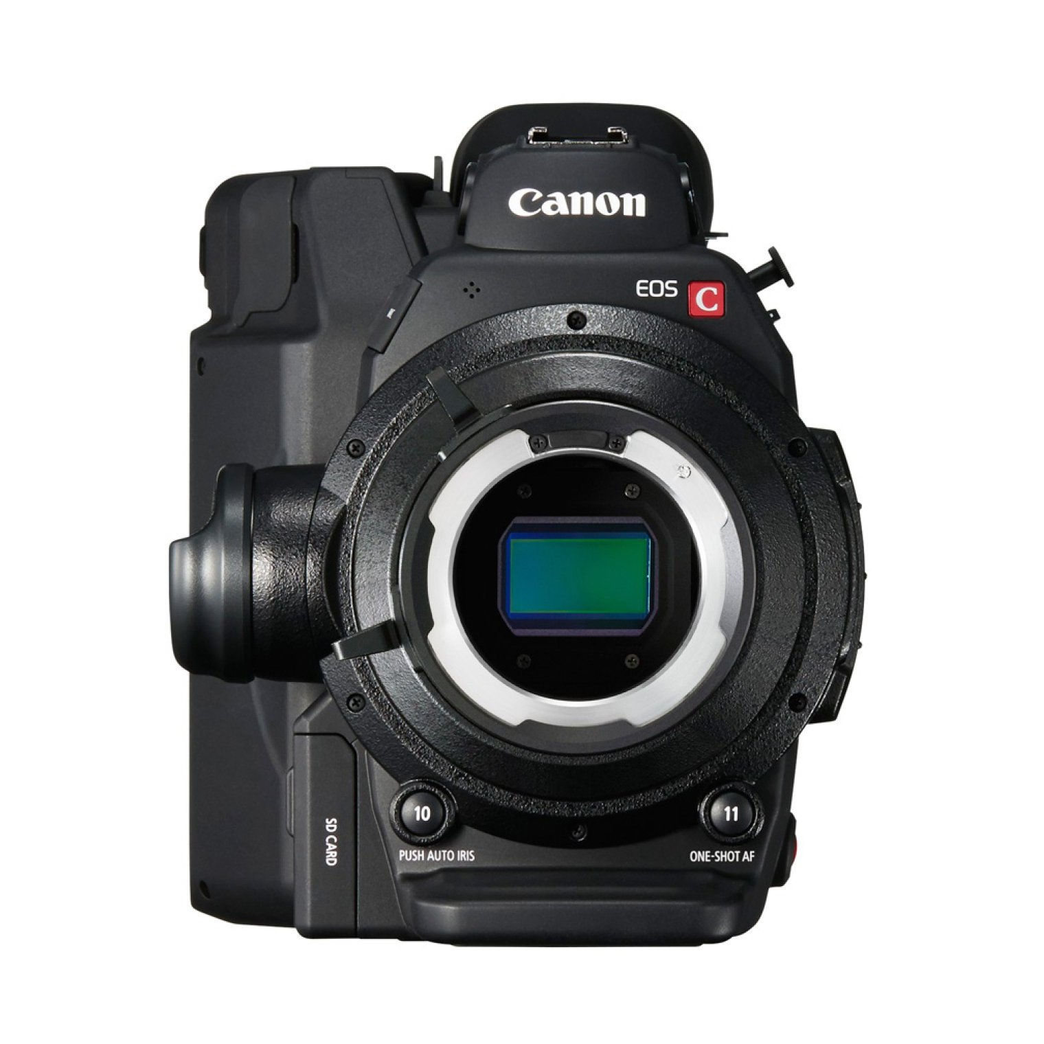 Аренда видеокамеры Canon C300 Mark II PL-Mount